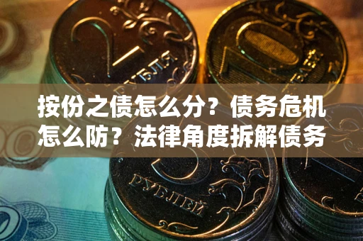 武汉按份之债怎么分？债务危机怎么防？法律角度拆解债务分配与风险自保指南