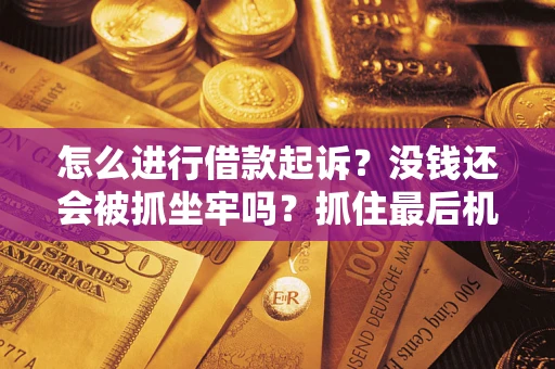 武汉怎么进行借款起诉？没钱还会被抓坐牢吗？抓住最后机会！
