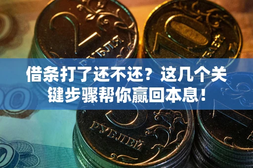 武汉借条打了还不还？这几个关键步骤帮你赢回本息！