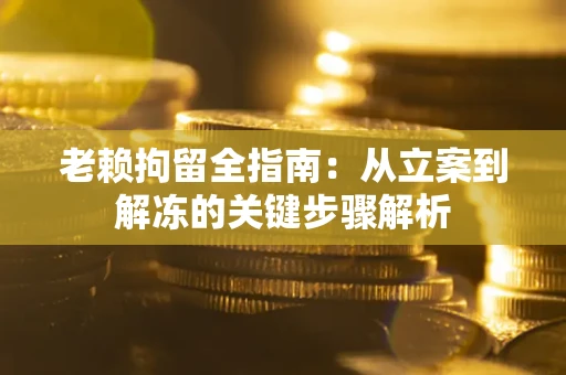 武汉老赖拘留全指南：从立案到解冻的关键步骤解析