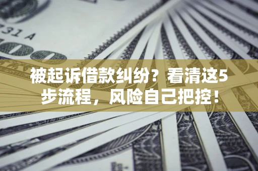 武汉被起诉借款纠纷？看清这5步流程，风险自己把控！