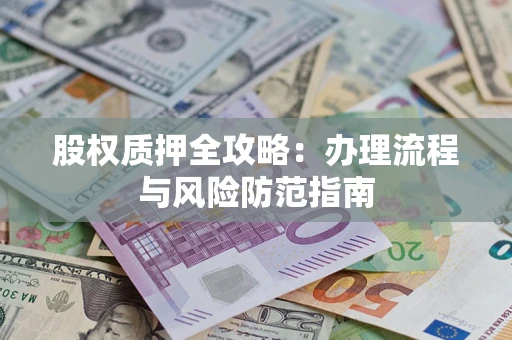 武汉股权质押全攻略：办理流程与风险防范指南