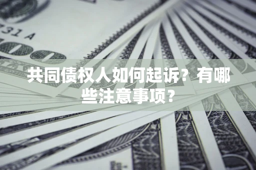 武汉共同债权人如何起诉？有哪些注意事项？